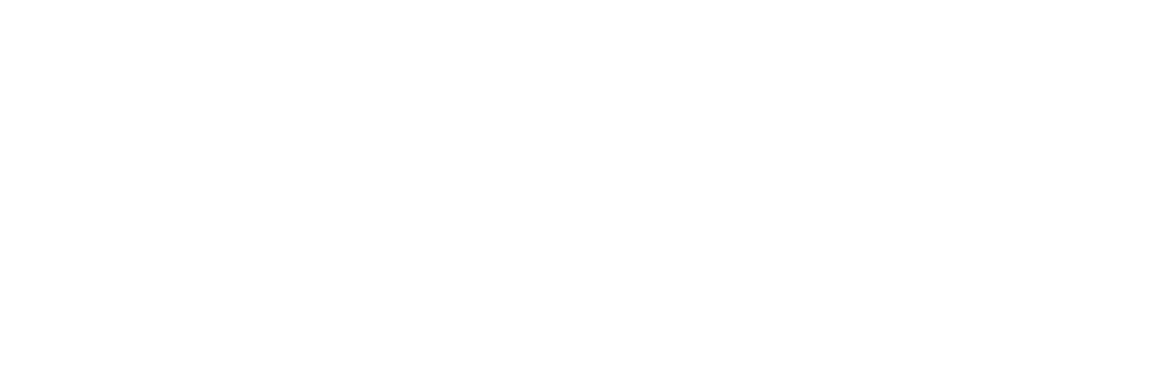 INNDX Logo
